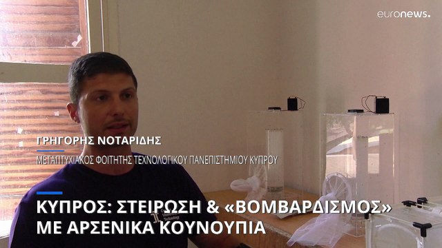 Κύπρος: Στείρωση και «βομβαρδισμός» με αρσενικά κουνούπια