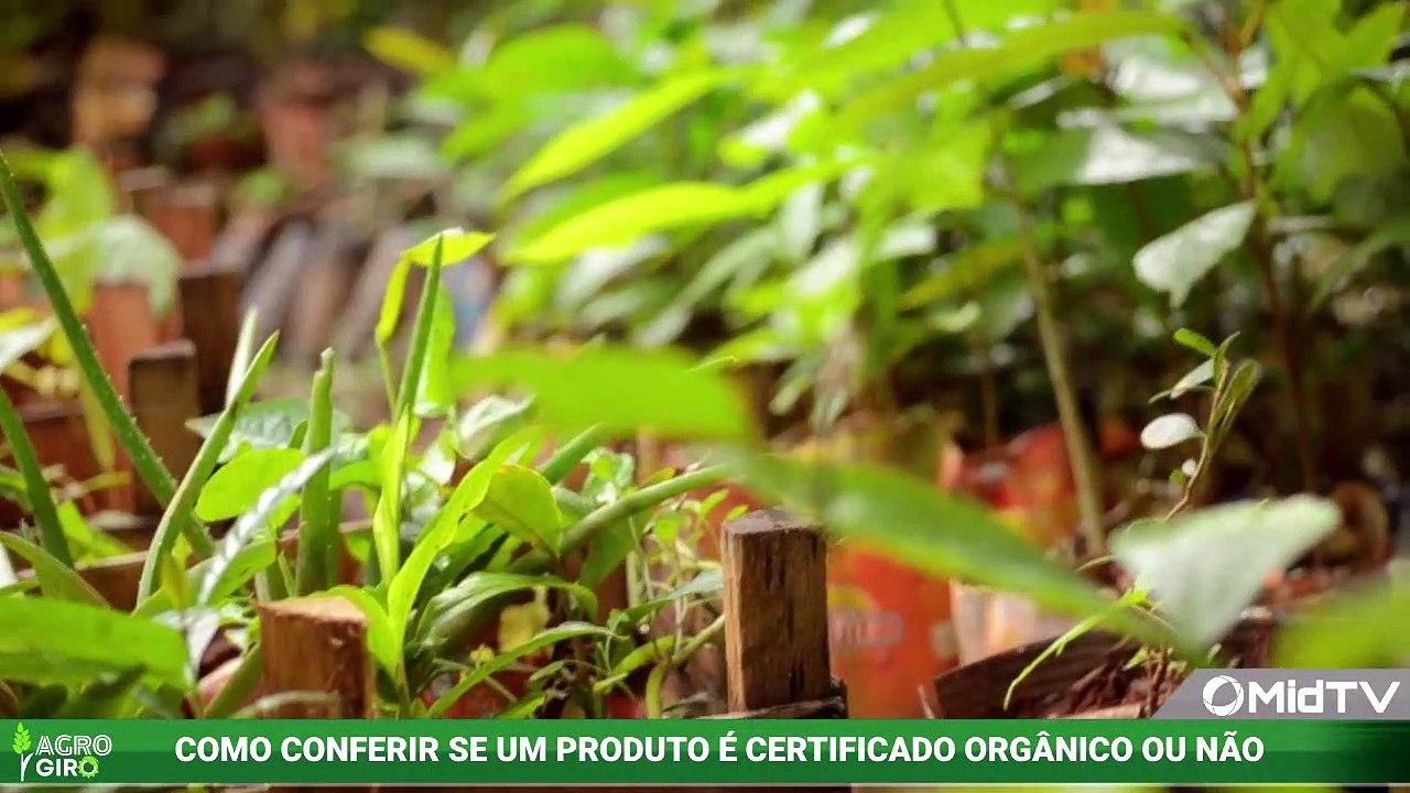 PA - MIDTV - Programa Agro Giro - 20/07/23