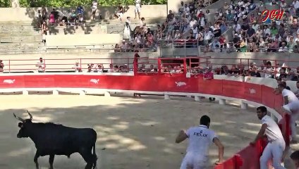 ADAL manade Du Ternen Beaucaire 1iè Journée de la Palme D'Or