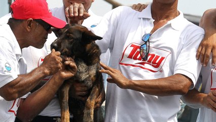 Dog Lost at Sea with Sailor for Months Adopted by Crew Member Who Helped Rescue Them