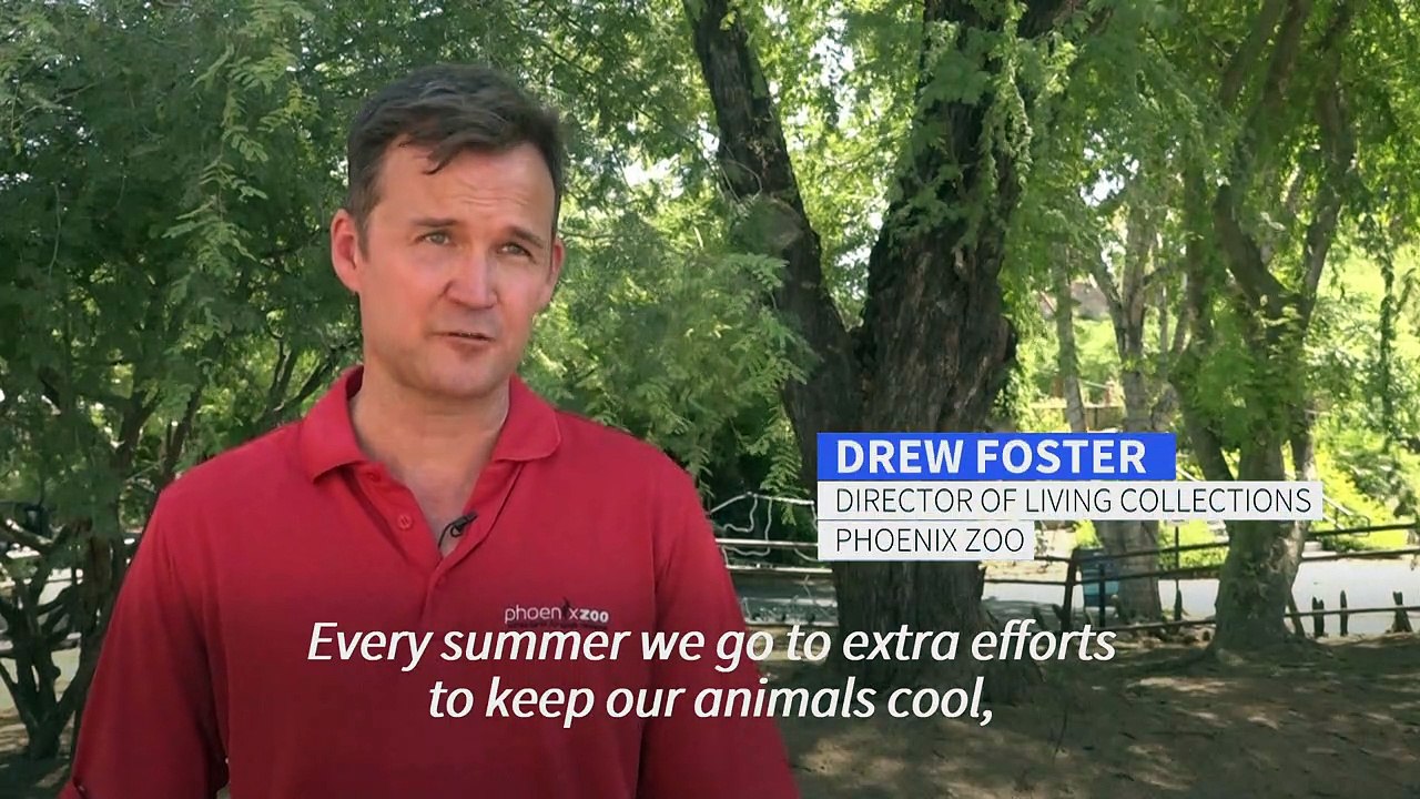 Phoenix Zoo goes to 'extra effort' to keep anim...