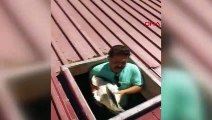 Sivas'ta Yavru Leylek Okulun Çatısından Düştü