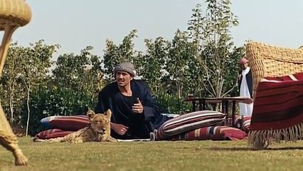 مشاهدة فيلم المصلحة كامل بجودة عالية 🎬