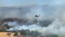 Helicopters battle wildfires fuelled by strong winds in Turkey