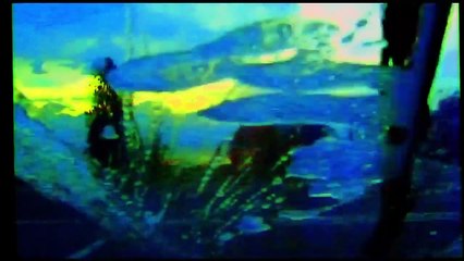 Adieu au langage (2014) - Bande annonce