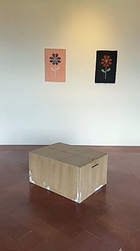 L'opera d'arte delle galline al Forte Belvedere