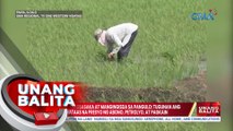 Hiling ng ilang magsasaka at mangingisda sa Pangulo: Tugunan ang problema sa mataas na presyo ng abono, petrolyo, at pagkain | UB