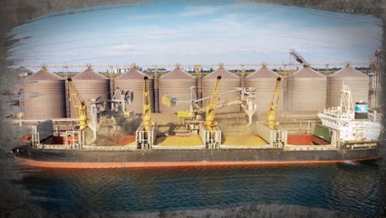 حجم مساهمة أوكرانيا في سوق الحبوب العالمي