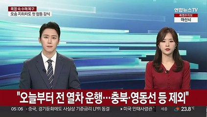 코레일 "오늘부터 전 열차 운행 재개…충북·영동선 등은 제외"