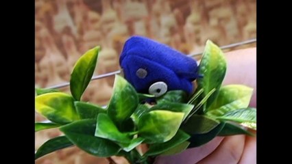 Epic Showdown: Scoutmaster Scott vs Tom Cat 🐱