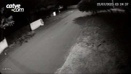 Câmera flagra acusado de envenenar cães em Tupãssi; imagens fortes