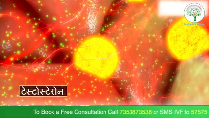 एंब्र्यो ट्रांसफर के बाद कब कराएं प्रेगनेंसी टेस्ट ? | Dr. Richika Sahay Shukla | India IVF