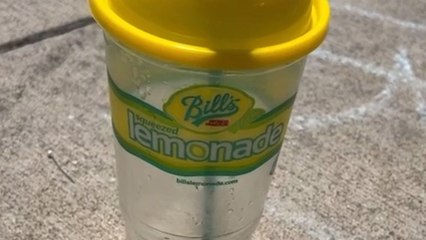 Trash artist makes beautiful flowers from the unrecyclable plastic cups