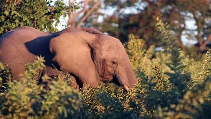 10 Terrifying Moments Caught On Security Camera