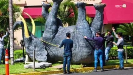 Fuerte tormenta de la madrugada del sábado puso patas arriba hasta al elefante de plaza comercia