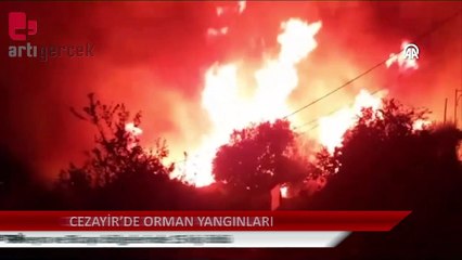 Cezayir'de orman yangınları: 15 kişi öldü