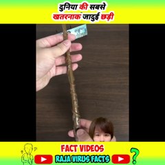 दुनिया की सबसे खतरनाक जादुई छड़ी  Raja Virus Vlogs#shorts #reels