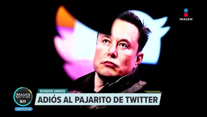 Elon Musk cambia al pajarito azul de Twitter por una "X"
