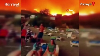 Cezayir’de orman yangını: 15 ölü... 16 eyalette bin 500 kişi tahliye edildi