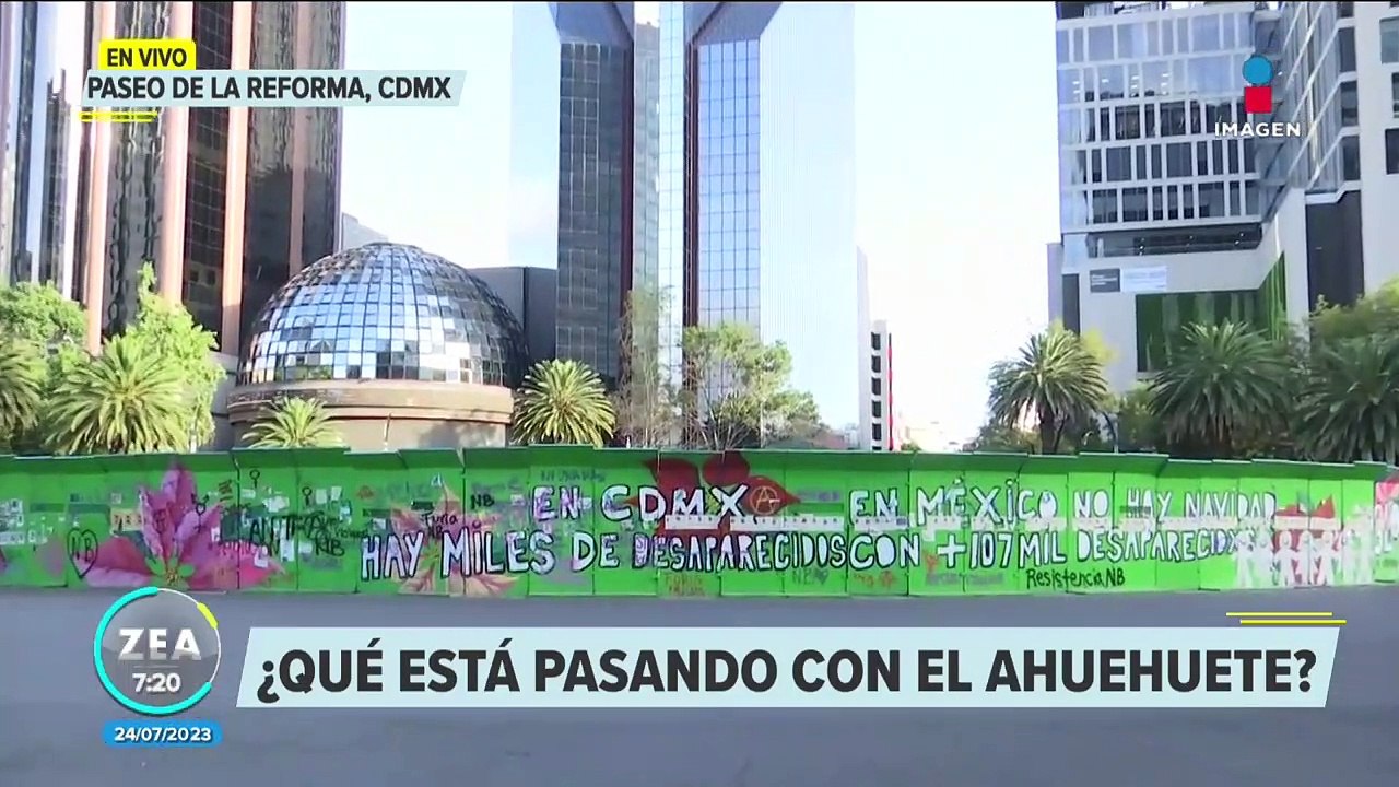 Ahuehuete de Reforma presenta follaje ocre