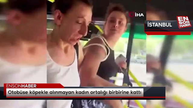Kağıthane'de otobüse köpekle alınmayan kadın ortalığı birbirine kattı
