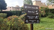 Spazi da non perdere, a Roma parco Sangalli luogo per tutti