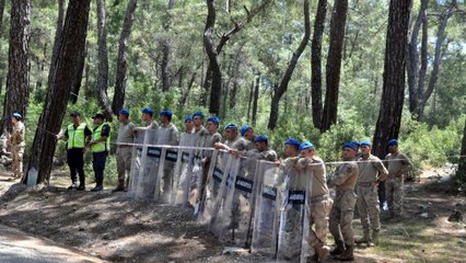 Akbelen ormanında ağaç katliamı! Köylüler direndi, gözaltına alınanlar var