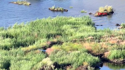 Çat Baraj Gölü'ndeki Yüzen Adalar Sabit Hale Getirildi