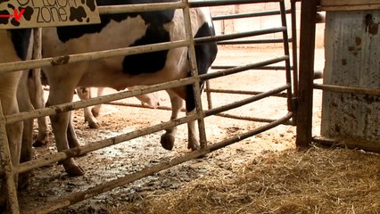 ‘Looming Threat of a Zoonotic Outbreak’ Can No Longer Be Ignored