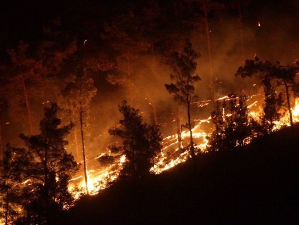 Waldbrände: Das müssen Griechenland-Reisende jetzt wissen