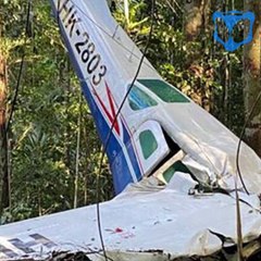 NIÑOS QUE SOBREVIVEN EN LA SELVA DE COLOMBIA