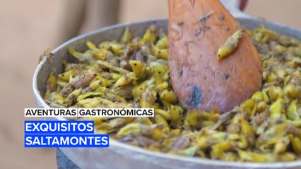 Aventuras gastronómicas: Exquisitos saltamontes