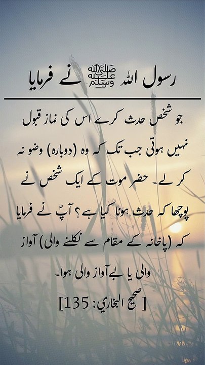 Daily hadees | rozana hadees | sahih bukhari 135 | Quran aur hadees || Daily Blink #shorts