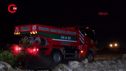 ÇATALCADA BUĞDAY TARLASINDA ÇIKAN YANGIN