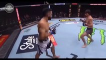50 Most Brutal Knockouts Ever in UFC - MMA Fighter