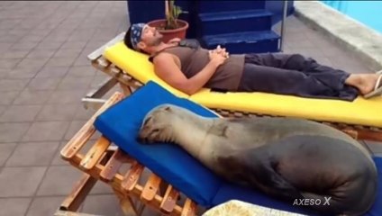 Funny Fail BEACH Compilation   Right Moment Beach Pics 2015 #2