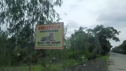 TATA Nano कार पे उमरिया जिला के Tiger Forest को पार कर शहडोल पहुंचे