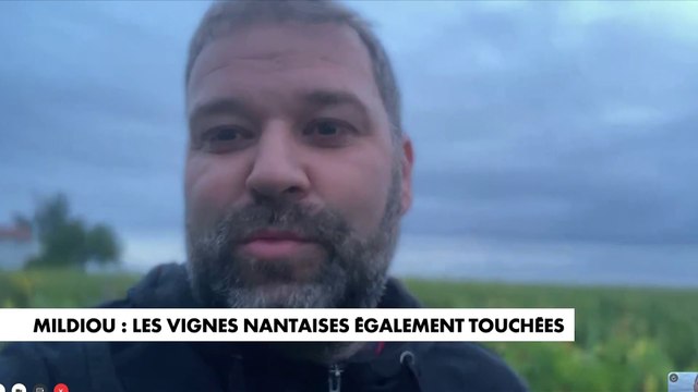 Christophe Tenaud : «Nous avons des pertes estimées à 10-15%»