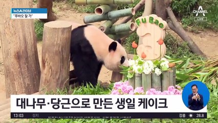 “푸바오 잘 가”…마지막 생일파티