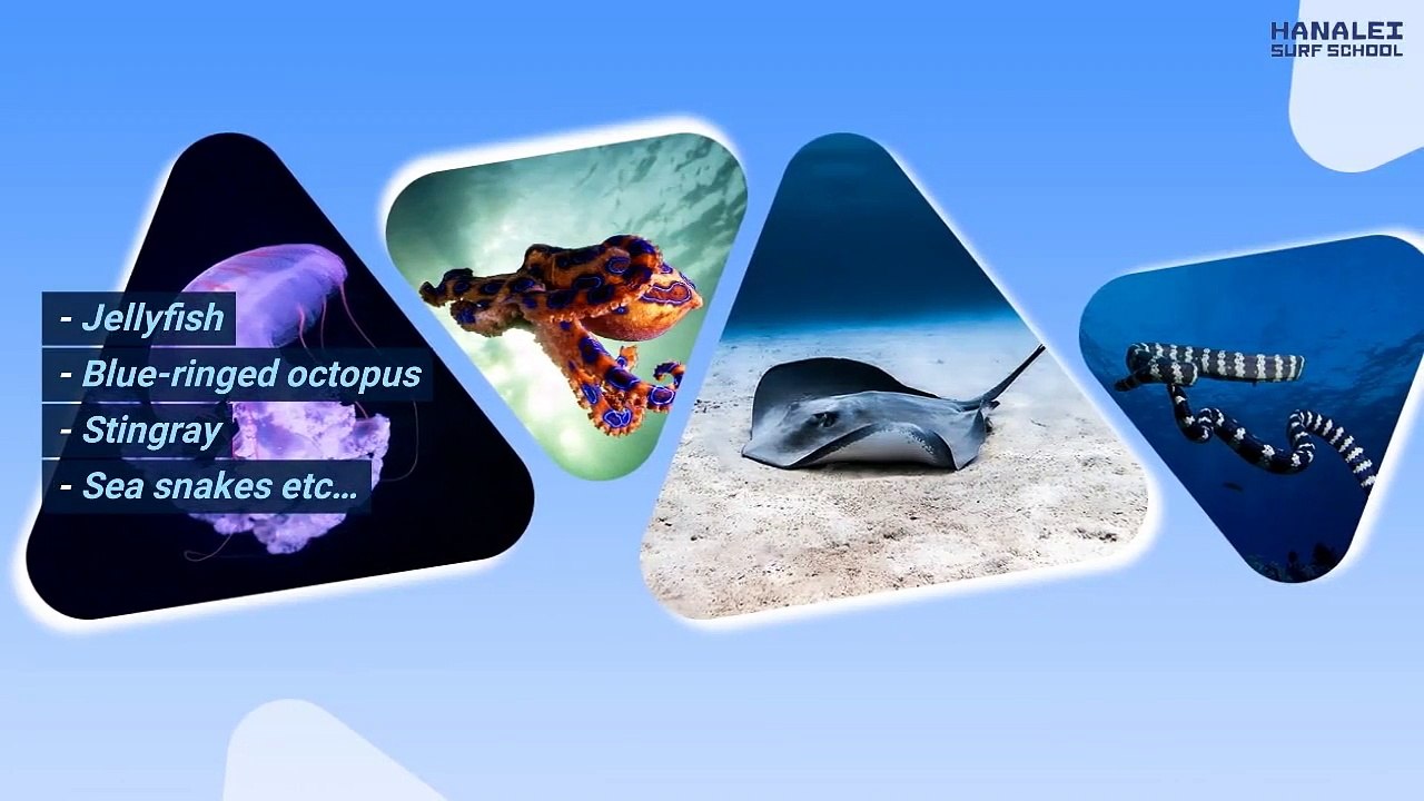 What Are The Hidden Dangers Of Surfing & How Can We Stay Safe