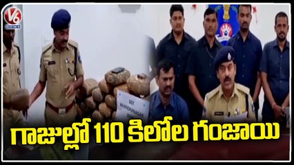 SOT Police Arrest Ganja Gang ,Recovers 110 Kgs Of Ganja At Attapur | V6 News