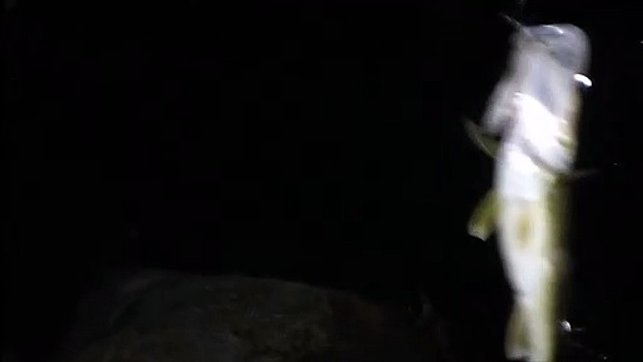 MCH 404 NIGHT FISHING AT DICK SON DAM CATCHING THE BIG ONES IN THE BRIGHT MOONLIGHT WITH THE HEADLIGHTS ON FISHING HOOKS LINE AND SINKER BRAIDED OR MONO .