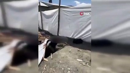 Van’da operasyon: Yer kazılarak yapılan metruk yapıda saklanan düzensiz göçmenler yakalandı