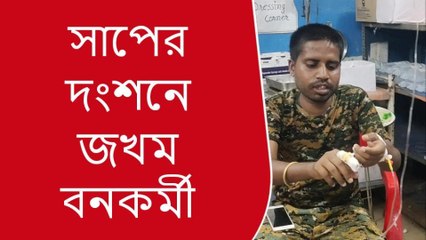 আলিপুরদুয়ার: কী অবস্থা! সাপ ধরতে গিয়ে পাল্টা ছোবল খেয়ে গেলেন বনকর্মী