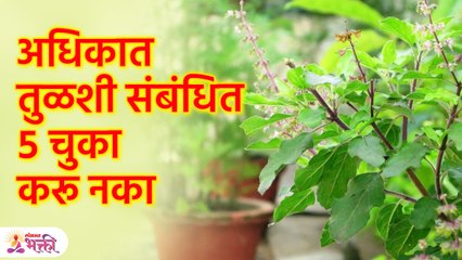 अधिक महिन्यात तुळशीची पूजा करताना 'या' चुका टाळा | Avoid These Mistakes While Worshiping Tulsi | SG3