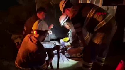 Maltepe'de yanan elektrik kabloları görenleri telaşa soktu