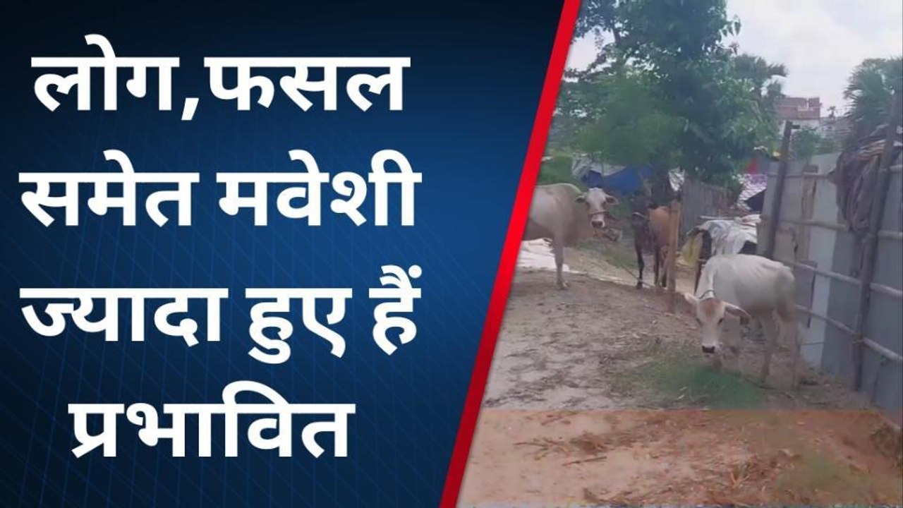 पूर्णिया: नेपाल की ओर से आने वाली बाढ़ का पानी से शहर के लोग भी हुए प्रभावित