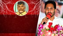 Venkatagiri YSR Nethanna Nestham సభలో చంద్రబాబు పై జగన్ వ్యాఖ్యలు.. | Telugu OneIndia