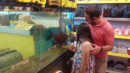 Erzurum'da Dadaş Pirana'ya doğum günü kutlaması