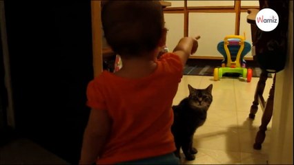 Watch Dad records unbelievable daily encounter between his toddler and his cat